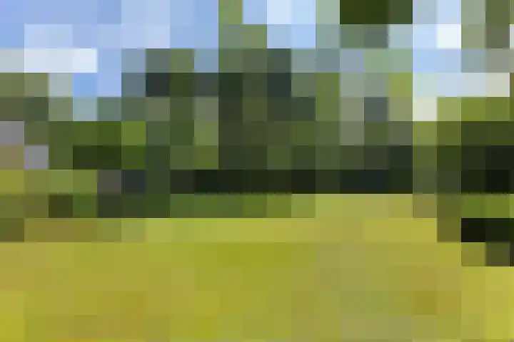 Koningin Wilhelminalaan 19 Wezep thumbnail 52