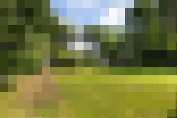 Koningin Wilhelminalaan 19 Wezep thumbnail 53