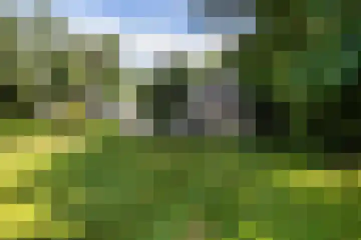Koningin Wilhelminalaan 19 Wezep thumbnail 54
