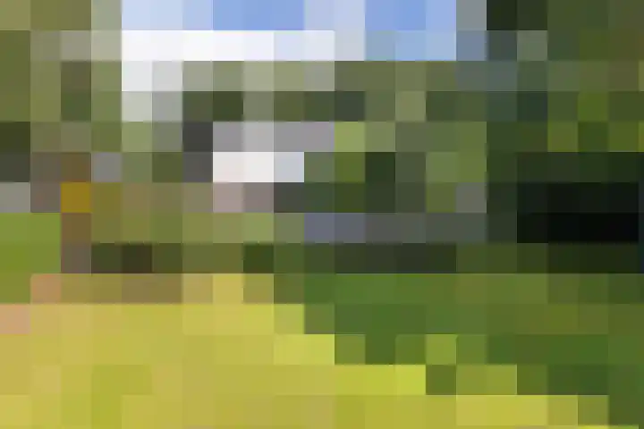 Koningin Wilhelminalaan 19 Wezep thumbnail 55
