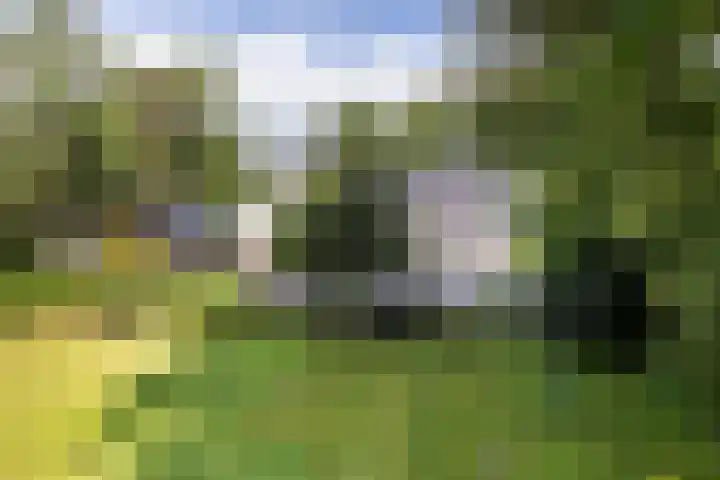 Koningin Wilhelminalaan 19 Wezep thumbnail 56
