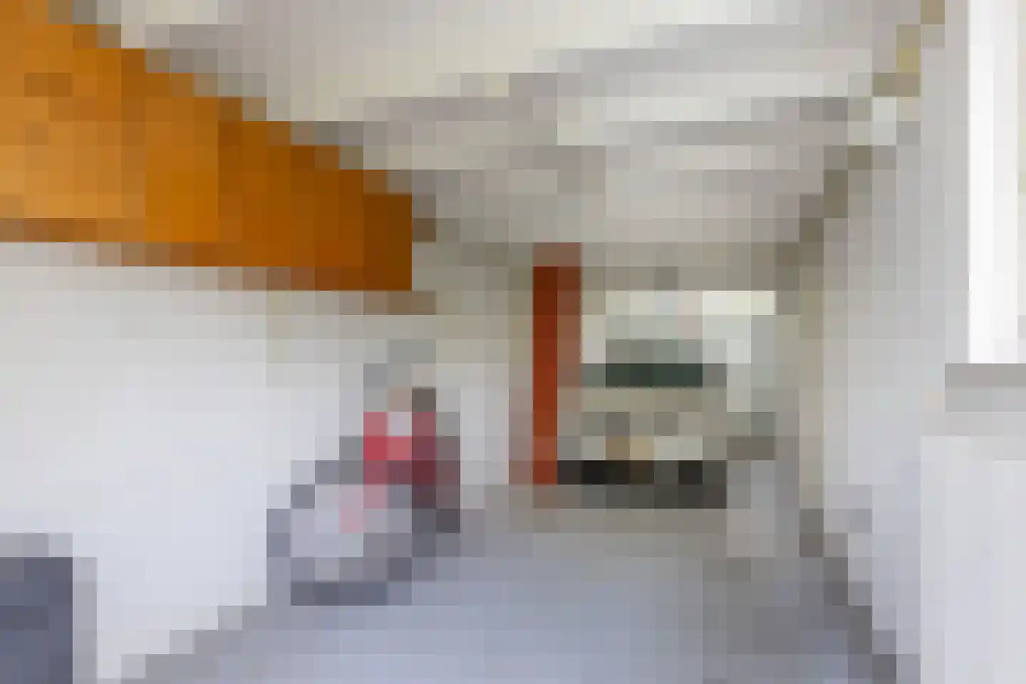 Koningin Wilhelminalaan 193 Utrecht thumbnail 38