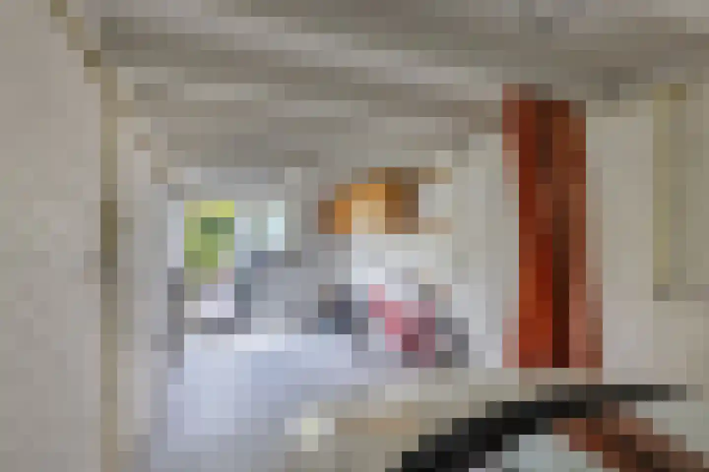 Koningin Wilhelminalaan 193 Utrecht thumbnail 39