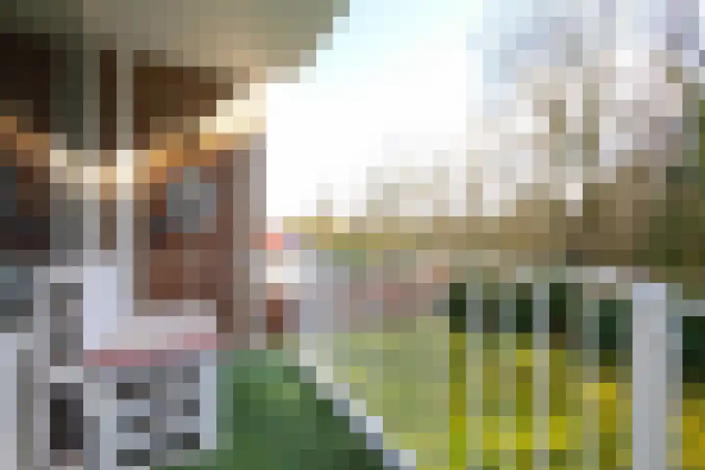Koningin Wilhelminalaan 2 A 31 Hattem thumbnail 18