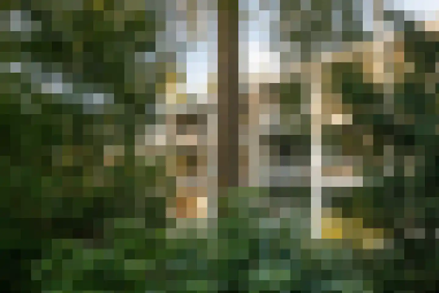 Koningin Wilhelminalaan 2 A 36 Hattem thumbnail 33
