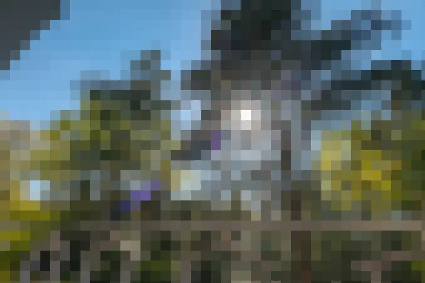 Koningin Wilhelminalaan 2 A 4 Hattem thumbnail 7