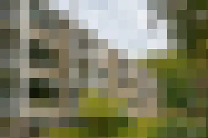 Koningin Wilhelminalaan 2 A 40 Hattem thumbnail 37