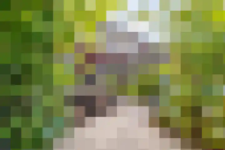 Koningin-Wilhelminalaan 2 a Leersum thumbnail 26