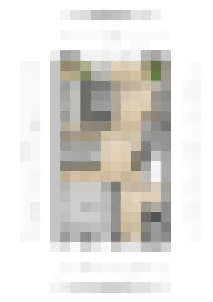 Koningin-Wilhelminalaan 2 a Leersum thumbnail 30