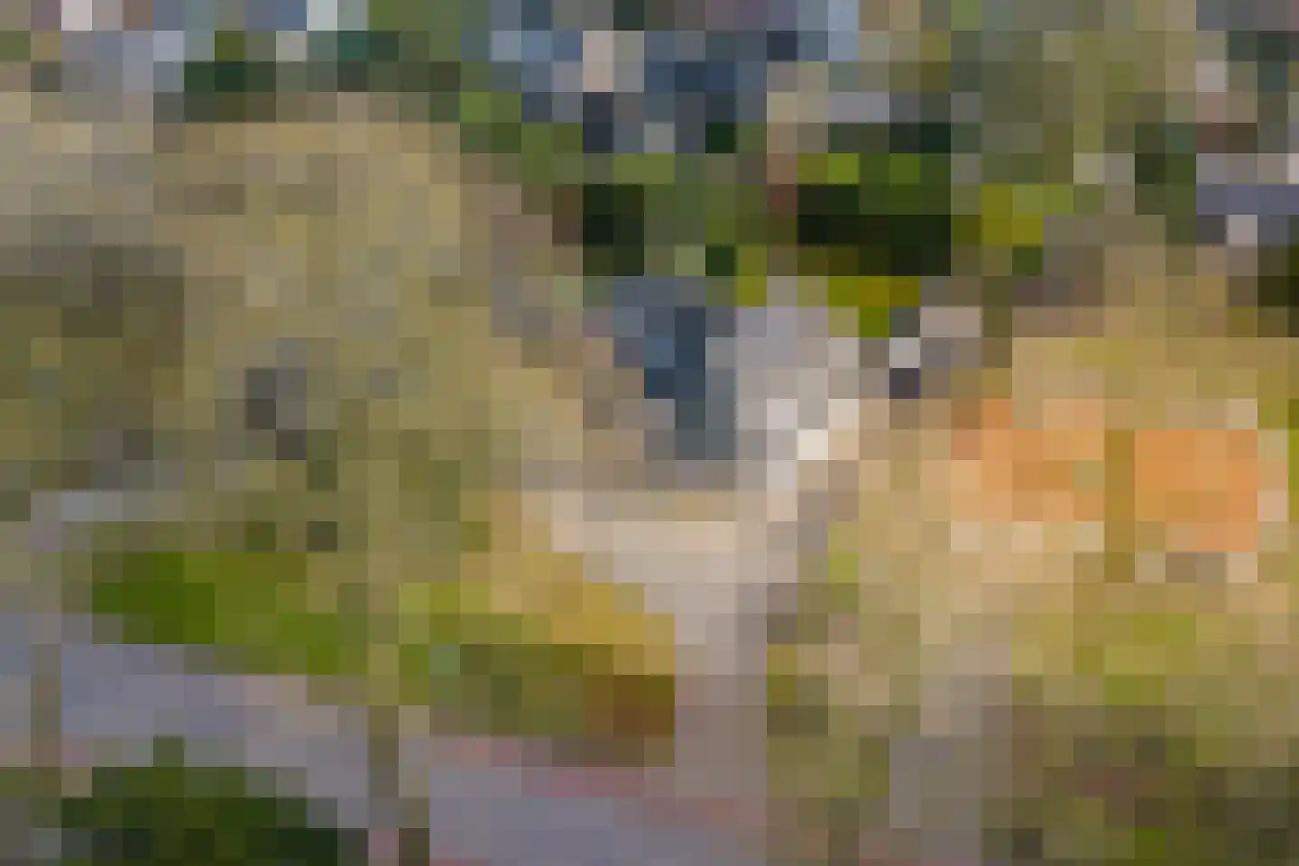 Koningin Wilhelminalaan 20 A Schalkhaar thumbnail 30