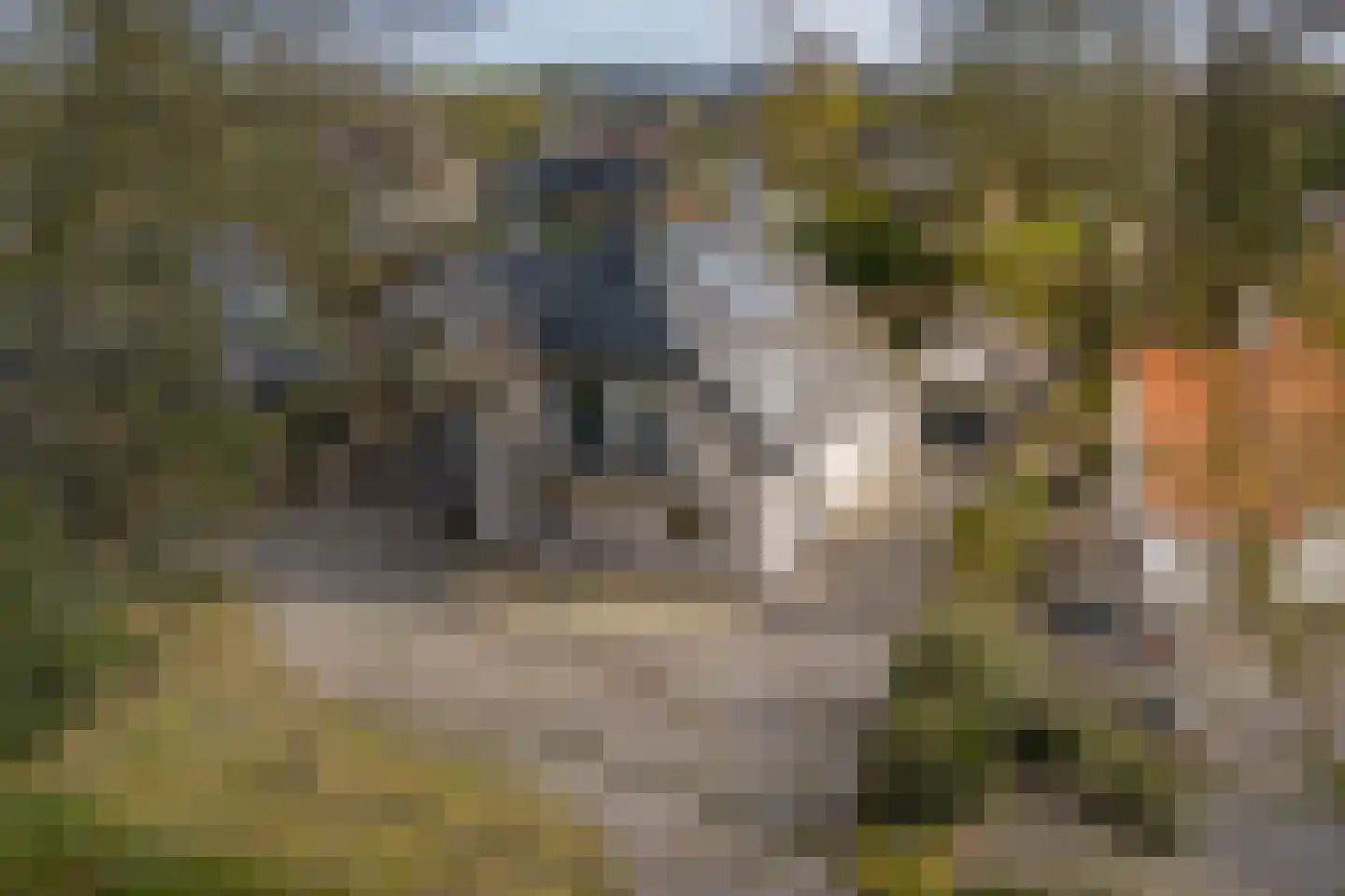 Koningin Wilhelminalaan 20 A Schalkhaar thumbnail 33