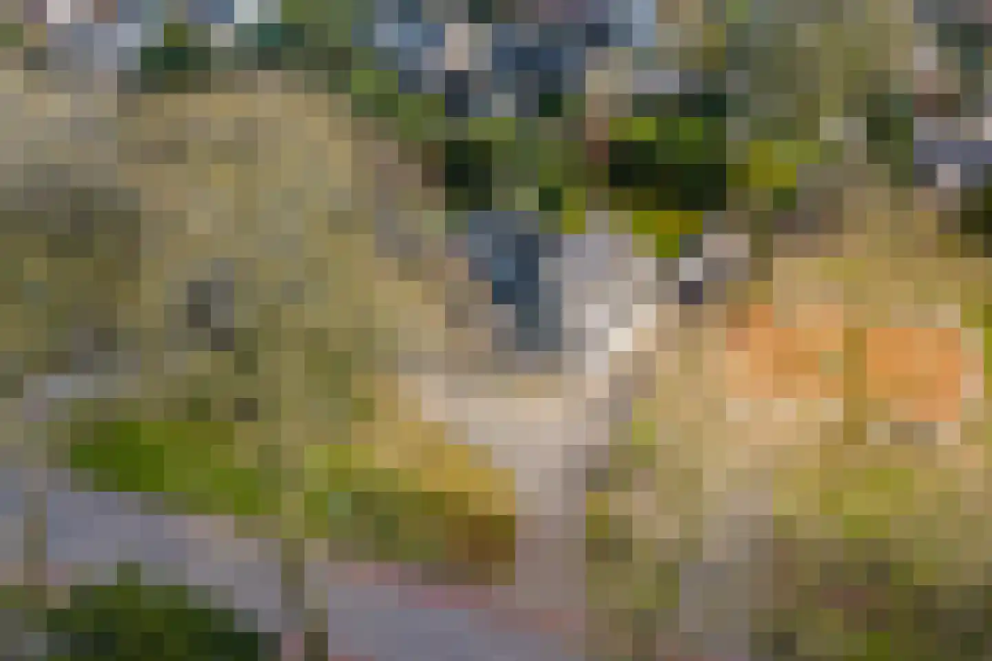 Koningin Wilhelminalaan 20 A Schalkhaar thumbnail 36