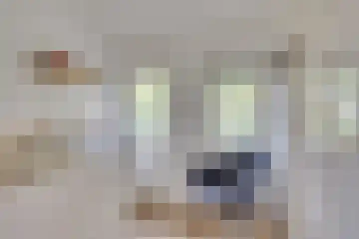 Koningin Wilhelminalaan 21 Leusden thumbnail 18