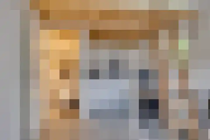 Koningin Wilhelminalaan 21 Leusden thumbnail 34