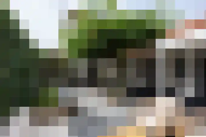 Koningin Wilhelminalaan 22 Leusden thumbnail 24