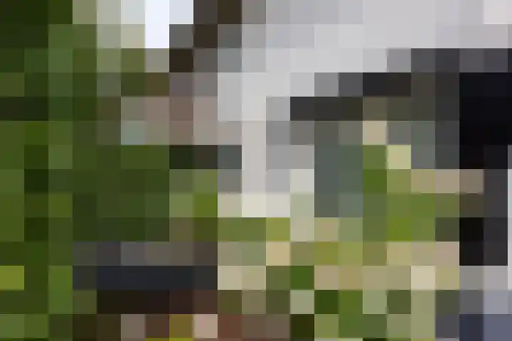 Koningin Wilhelminalaan 22 Leusden thumbnail 28