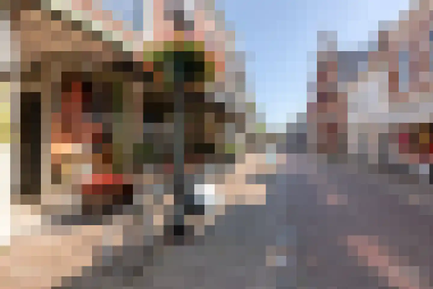 Koningin Wilhelminalaan 237 Voorburg thumbnail 49