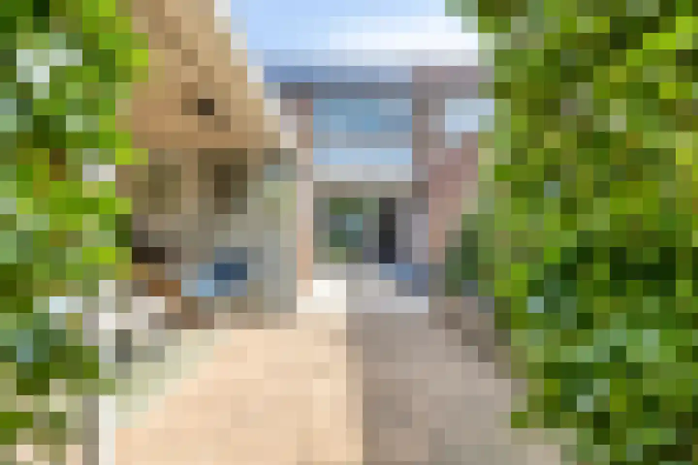 Koningin Wilhelminalaan 25 Varsseveld thumbnail 37