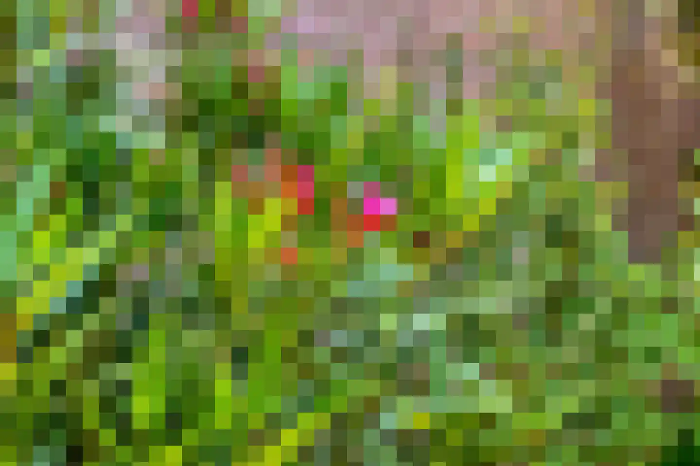 Koningin Wilhelminalaan 25 Varsseveld thumbnail 41