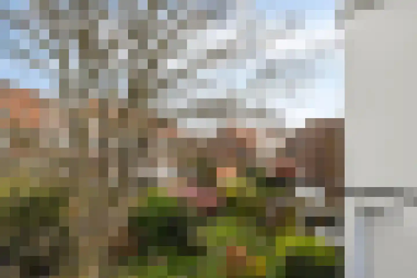 Koningin Wilhelminalaan 261 Voorburg thumbnail 44