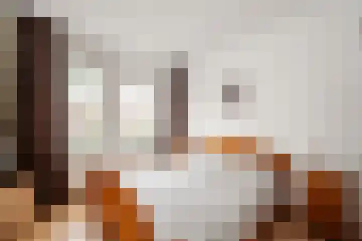 Koningin Wilhelminalaan 264 Voorburg thumbnail 14