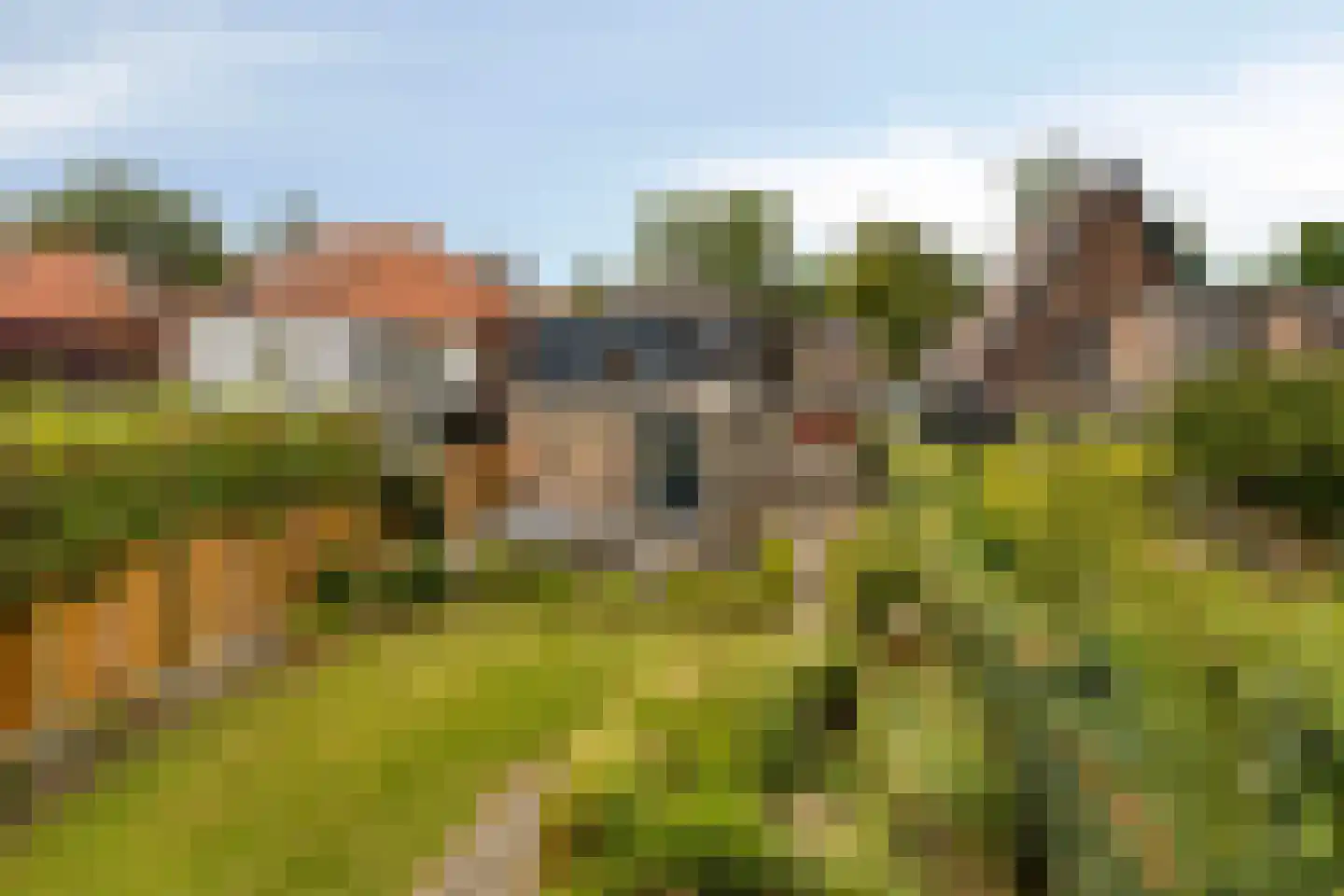 Koningin Wilhelminalaan 27 Waalre thumbnail 45