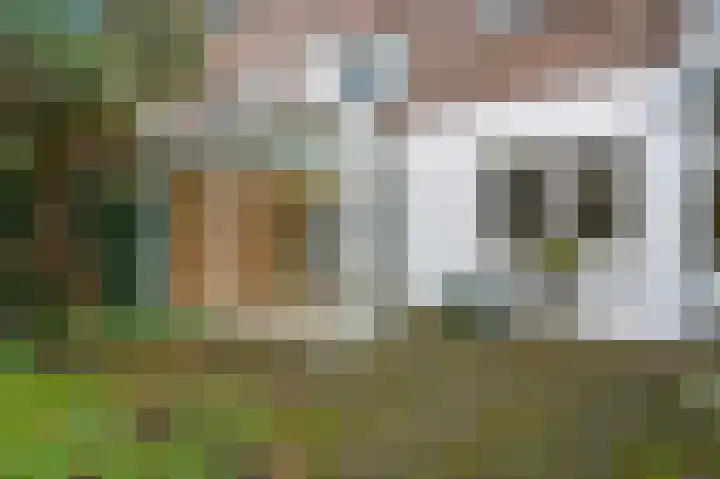 Koningin Wilhelminalaan 291 Voorburg thumbnail 22