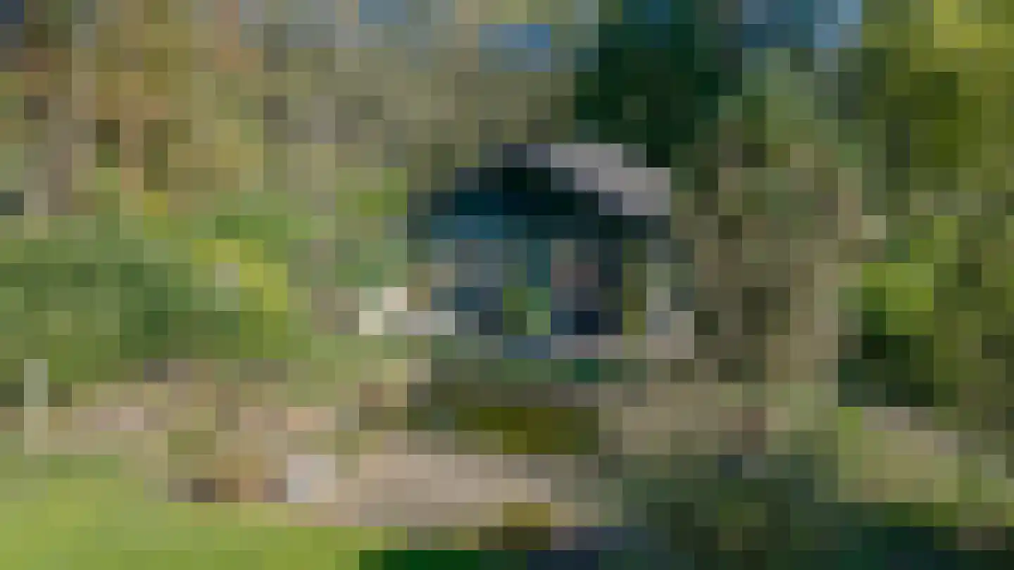 Koningin Wilhelminalaan 3 Hattem thumbnail 33
