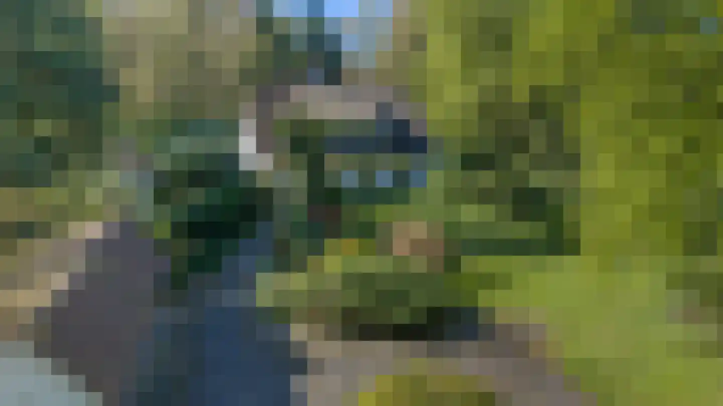 Koningin Wilhelminalaan 3 Hattem thumbnail 36