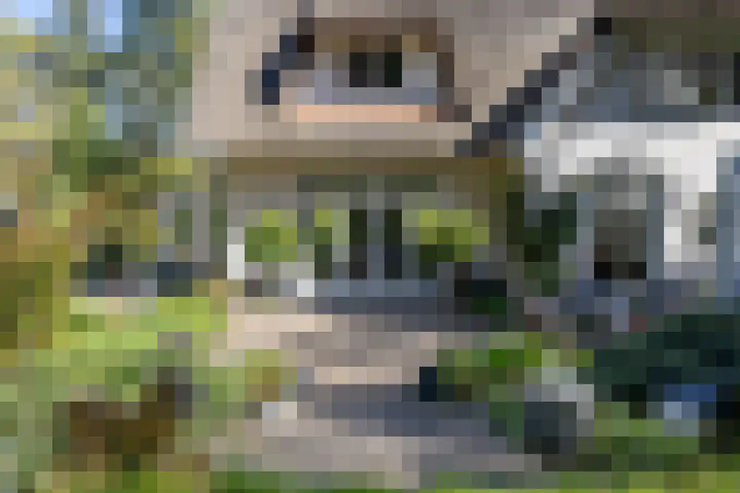 Koningin Wilhelminalaan 3 Hattem thumbnail 39