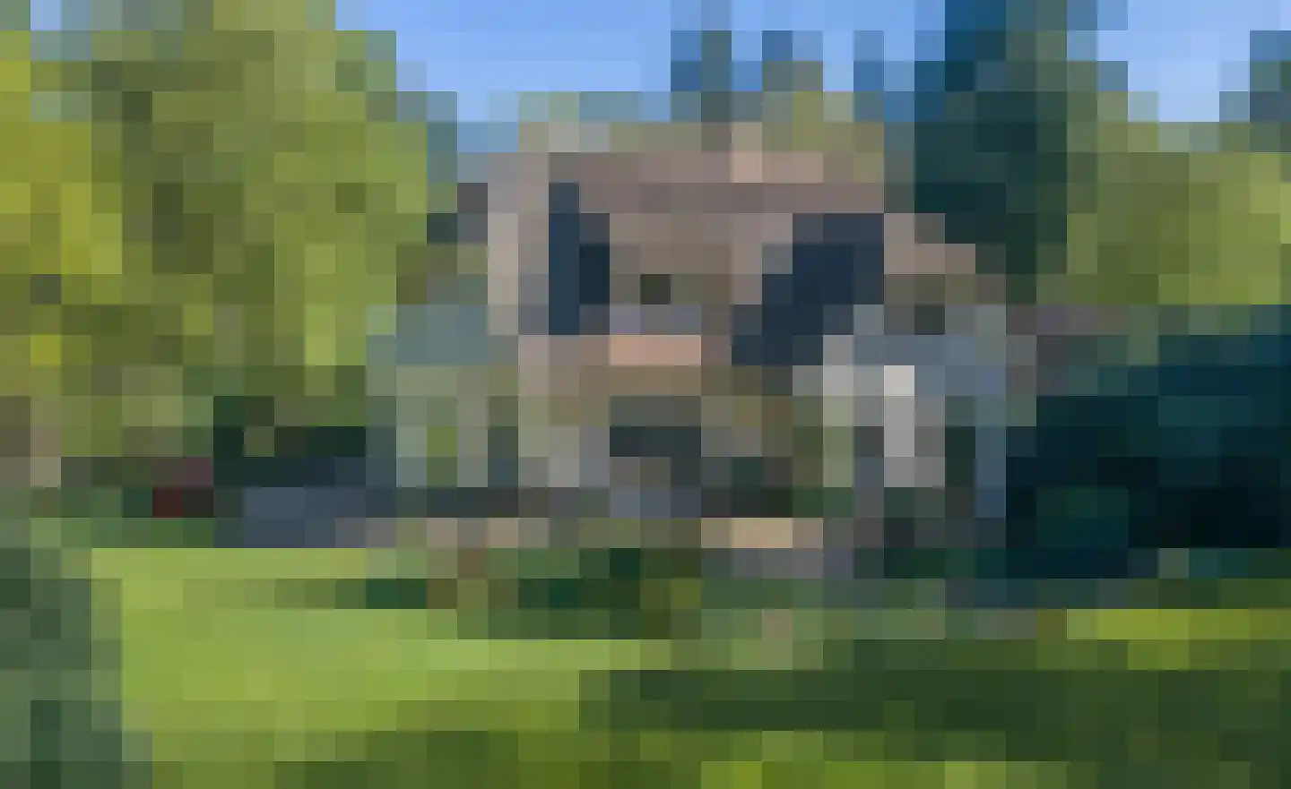Koningin Wilhelminalaan 3 Hattem thumbnail 4