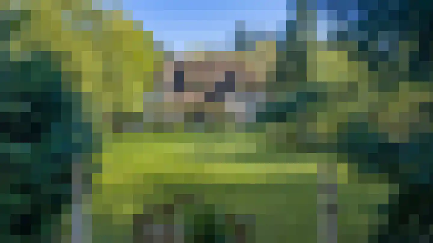 Koningin Wilhelminalaan 3 Hattem thumbnail 40