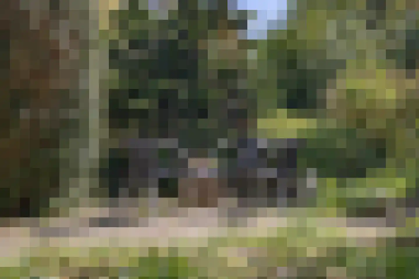 Koningin Wilhelminalaan 3 Hattem thumbnail 43