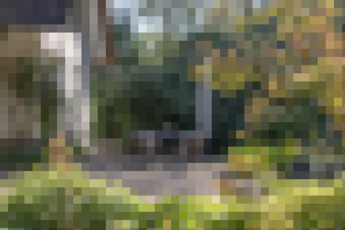 Koningin Wilhelminalaan 3 Hattem thumbnail 44
