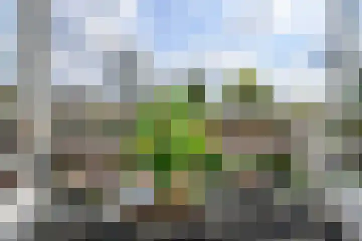 Koningin Wilhelminalaan 30 Naarden thumbnail 14