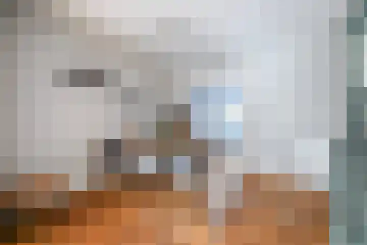 Koningin Wilhelminalaan 301 Voorburg thumbnail 13