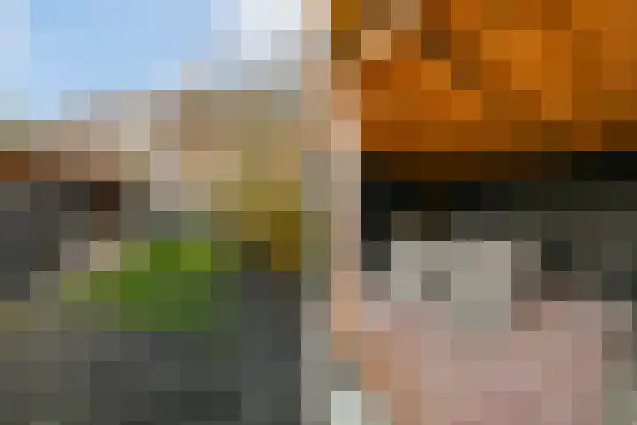 Koningin Wilhelminalaan 301 Voorburg thumbnail 33