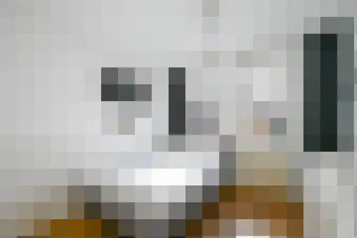 Koningin Wilhelminalaan 301 Voorburg thumbnail 34