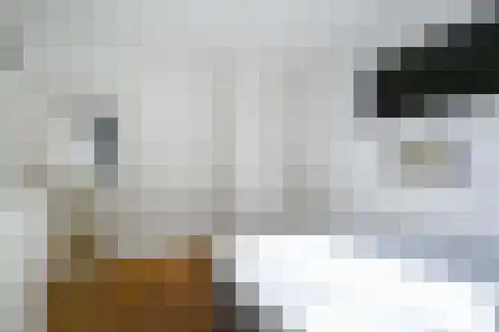 Koningin Wilhelminalaan 301 Voorburg thumbnail 36