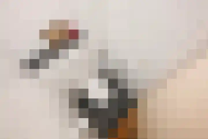 Koningin Wilhelminalaan 301 Voorburg thumbnail 5