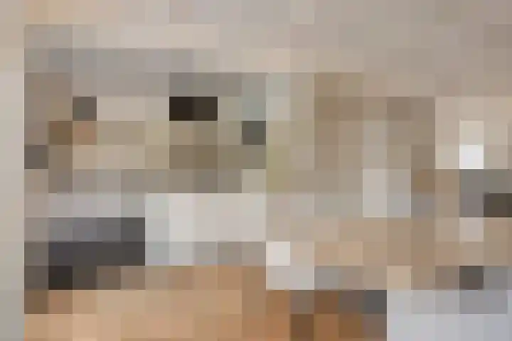 Koningin Wilhelminalaan 32 Bathmen thumbnail 10