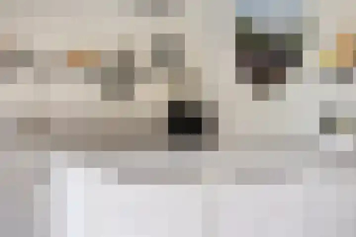 Koningin Wilhelminalaan 32 Bathmen thumbnail 13