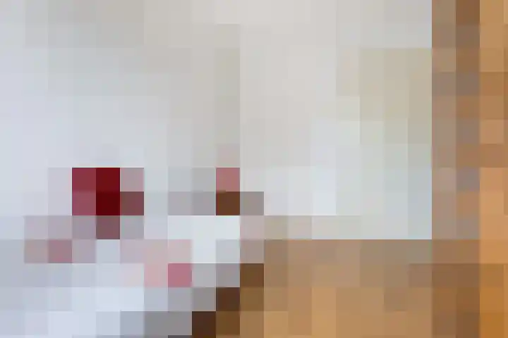 Koningin Wilhelminalaan 33 Smilde thumbnail 33