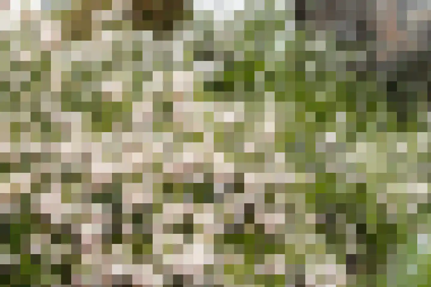 Koningin Wilhelminalaan 33 Waardenburg thumbnail 36