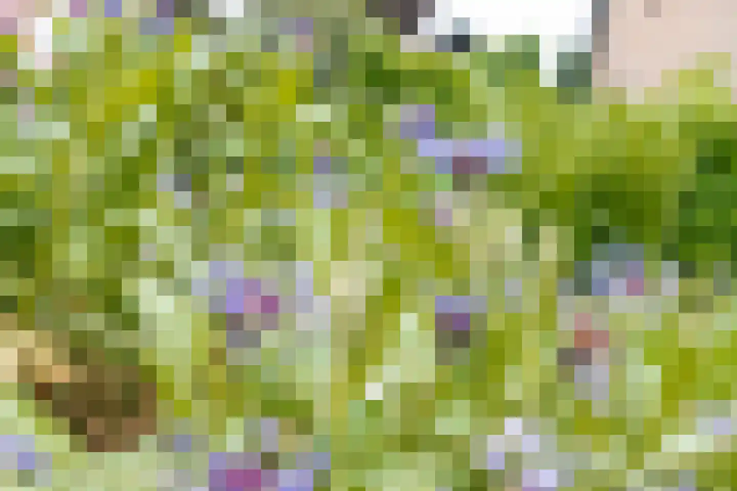 Koningin Wilhelminalaan 33 Waardenburg thumbnail 37