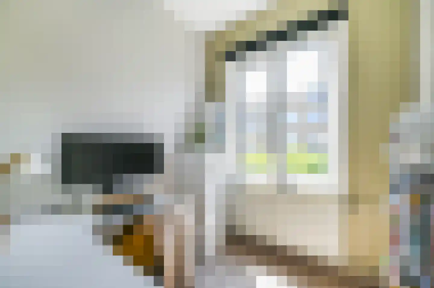 Koningin Wilhelminalaan 330 C Voorburg thumbnail 30