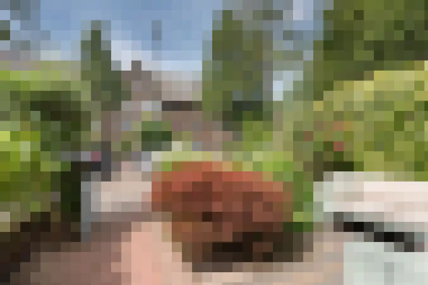 Koningin Wilhelminalaan 403 A Voorburg thumbnail 30