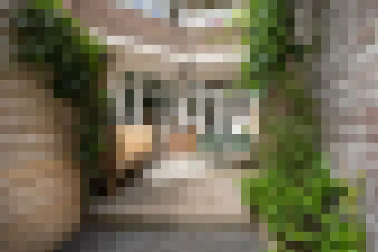 Koningin Wilhelminalaan 403 A Voorburg thumbnail 8