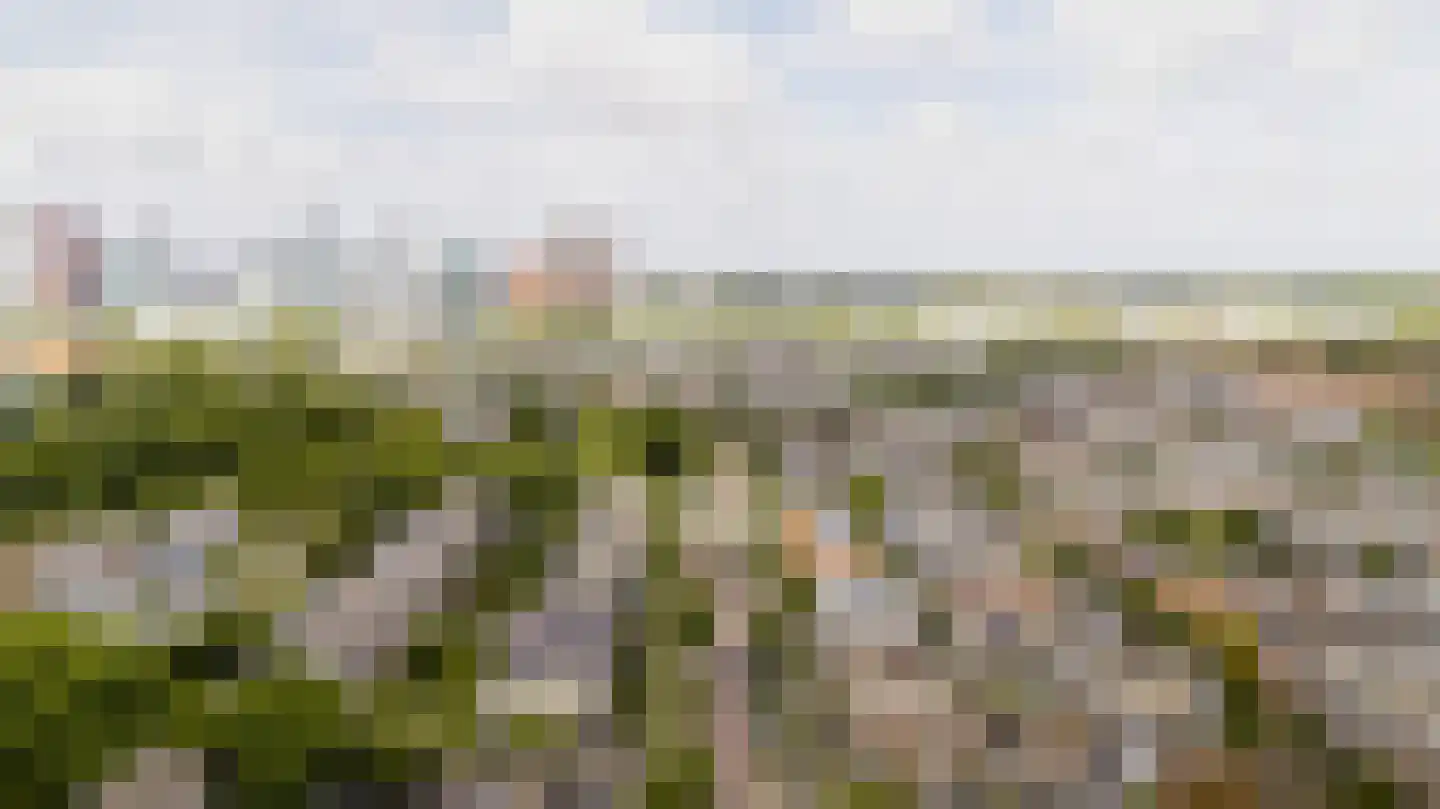 Koningin Wilhelminalaan 423 Voorburg thumbnail 29