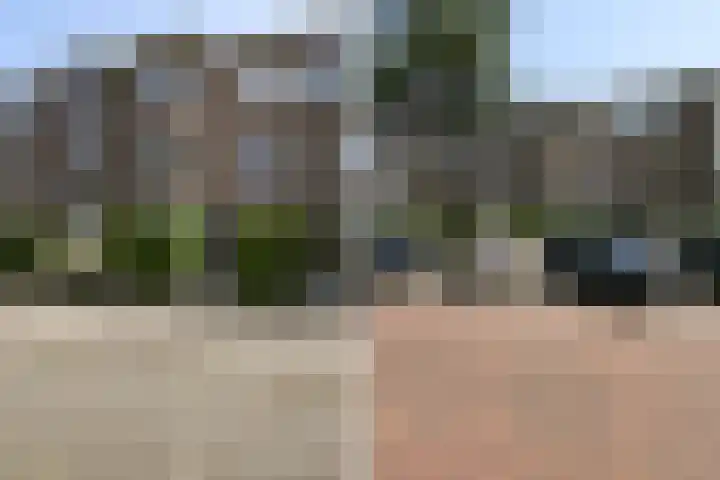 Koningin Wilhelminalaan 429 Voorburg thumbnail 33